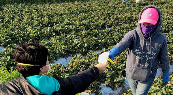 ayuda para indocumentados Activan fondo de ayuda para indocumentados desempleados por el coronavirus