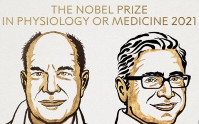 Premio Nobel de Medicina 2021