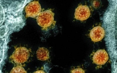 Nuevas subvariantes de ómicron eluden protección inmune y de las vacunas
