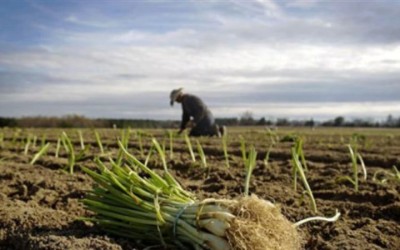 Agricultura en América Latina debe transformarse para enfrentar amenazas, advierten ministros