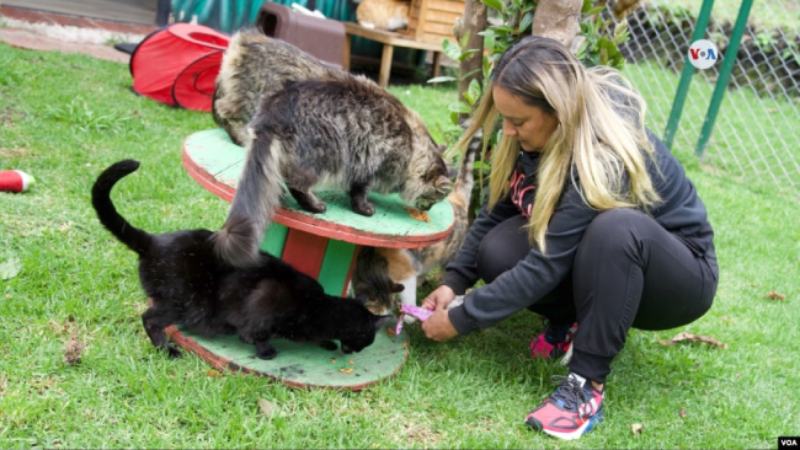 Empresaria colombiana expande a EEUU su negocio para el cuidado de animales