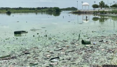 Una bacteria verde, petróleo, desechos y cloacas “colonizan” el Lago de Maracaibo