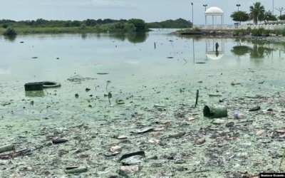 Una bacteria verde, petróleo, desechos y cloacas “colonizan” el Lago de Maracaibo