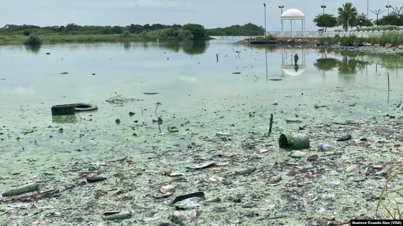 Una bacteria verde, petróleo, desechos y cloacas “colonizan” el Lago de Maracaibo