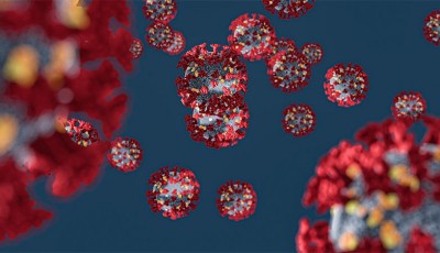 casos confirmados de COVID-19 en Minnesota