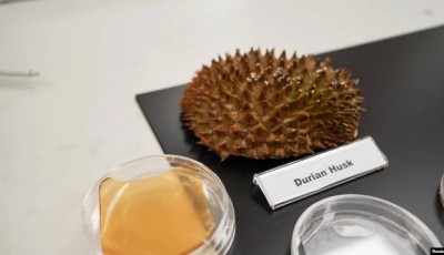 frutas en vendajes antibacterianos