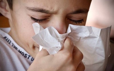 temporada de influenza