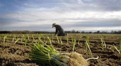 Agricultura en América Latina debe transformarse para enfrentar amenazas, advierten ministros