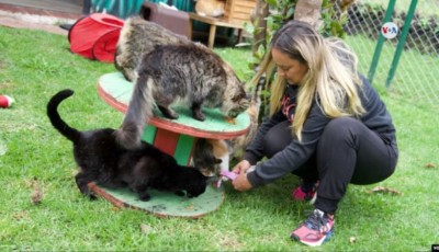 Empresaria colombiana expande a EEUU su negocio para el cuidado de animales