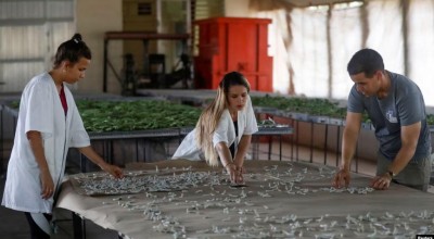 EEUU anuncia medidas para ayudar a las pequeñas empresas en Cuba